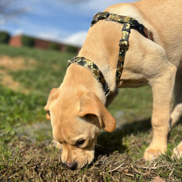 Archie Loves Mud Freedom No-Pull Dog Harness – EarthStyle 2 Hounds Design
