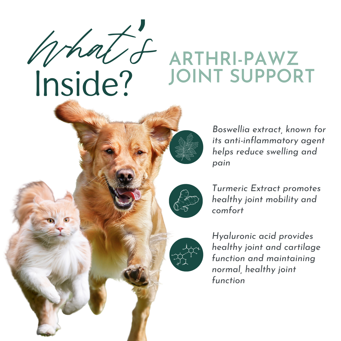 Arthri-Pawz – with Glucosamine for Cats and Dogs Joint Support Dr. Ruth Roberts
