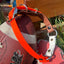 The Cleveland Football Collar by Chief Treats Dog Collar Chief’s Treats and Pet Supplies