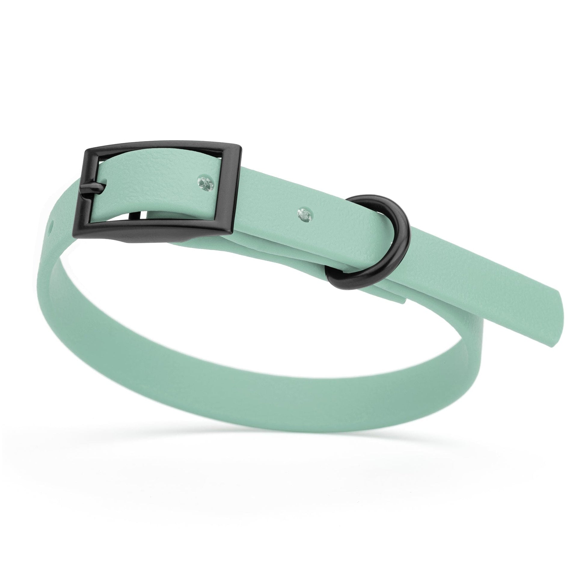 Dogline Biothane Waterproof Dog Collar with Black Hardware - Size XS (9 to 12 inches) Sage Green Dog Collars Dogline