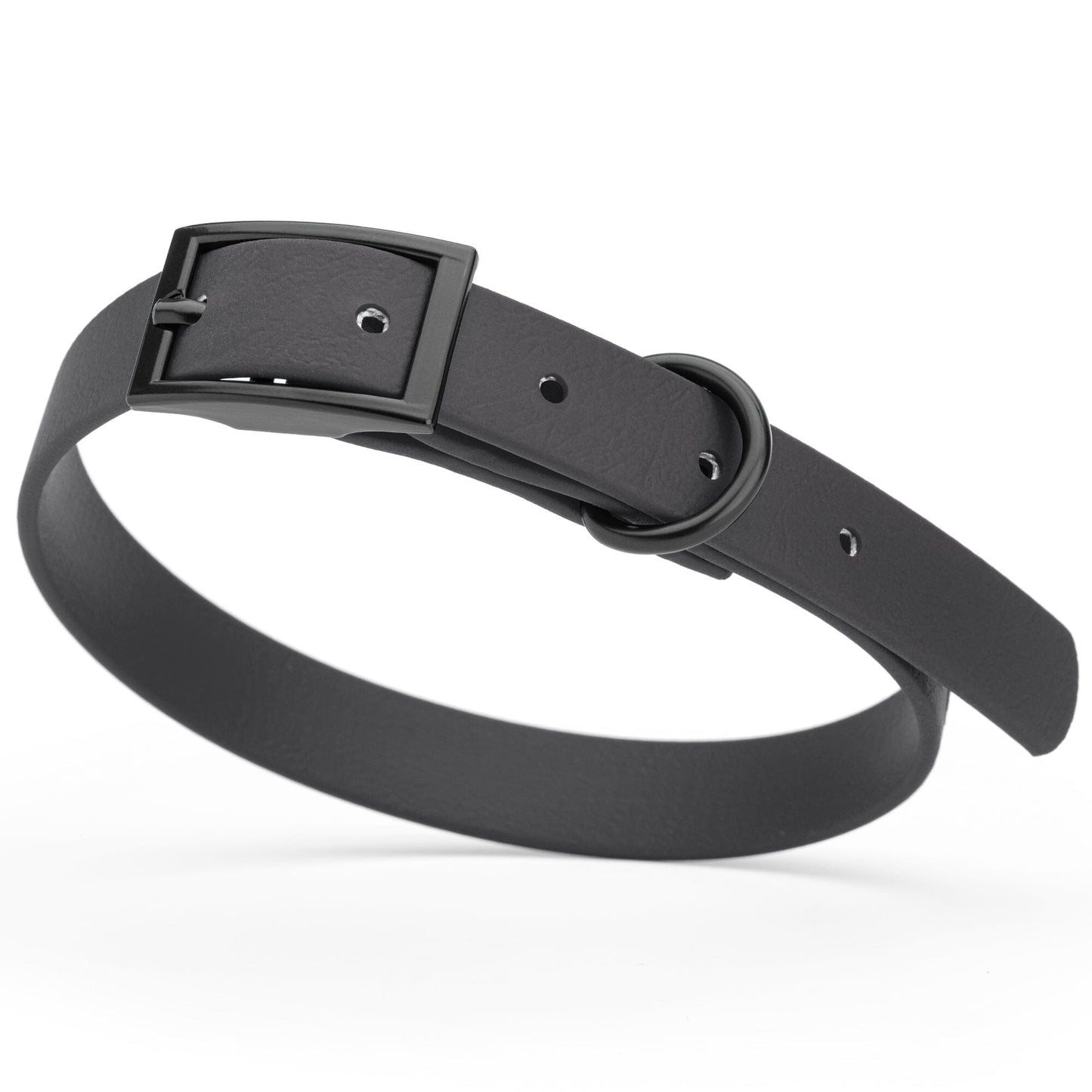 BioThane Waterproof Dog Collar - XS: L 12"-15" x W 5/8" - Black OR Brass Hardware Black L 12"-15" x W 5 8" Black Dog Collars Dogline