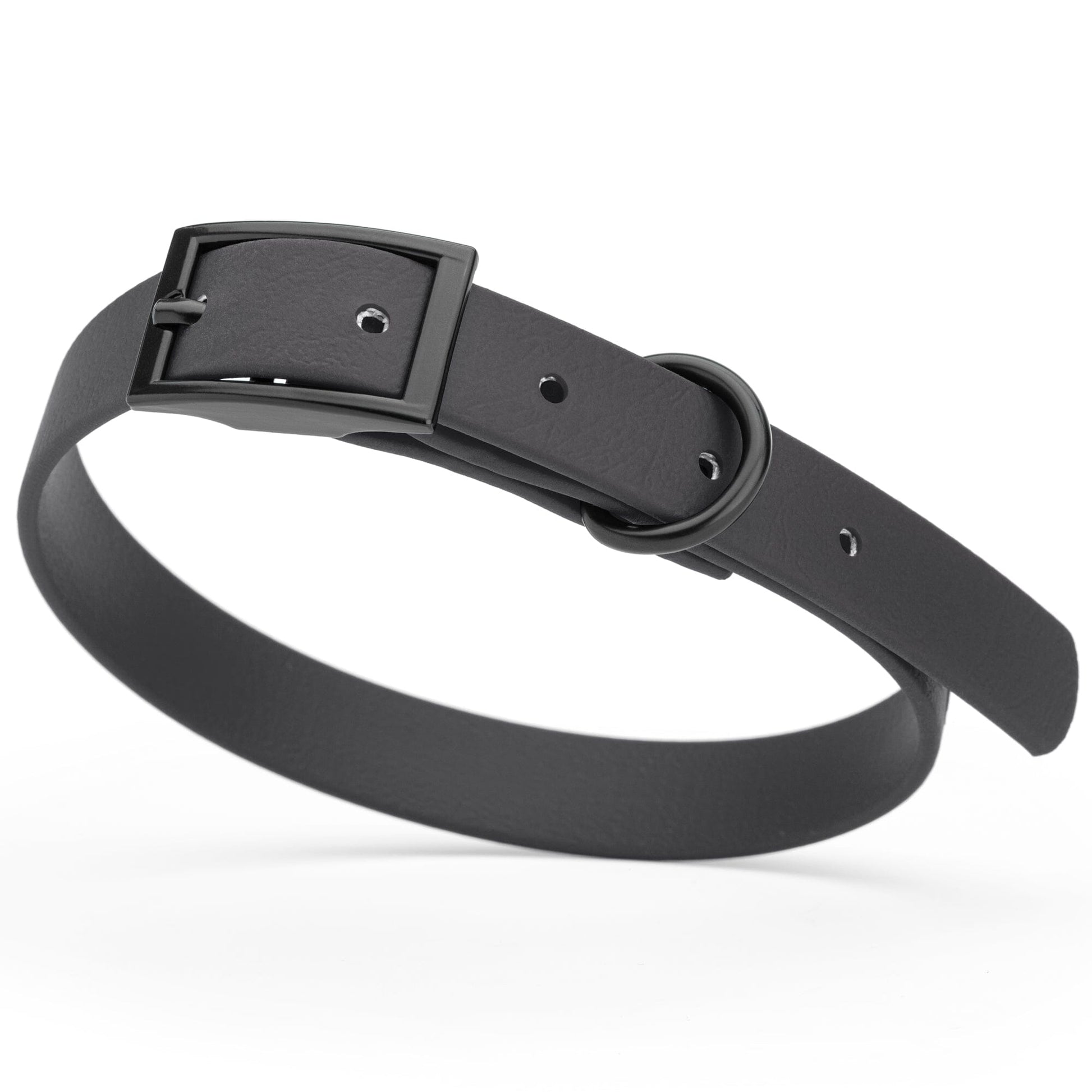 BioThane Waterproof Dog Collar - XS: L 12"-15" x W 5/8" - Black OR Brass Hardware Black L 12"-15" x W 5 8" Black Dog Collars Dogline