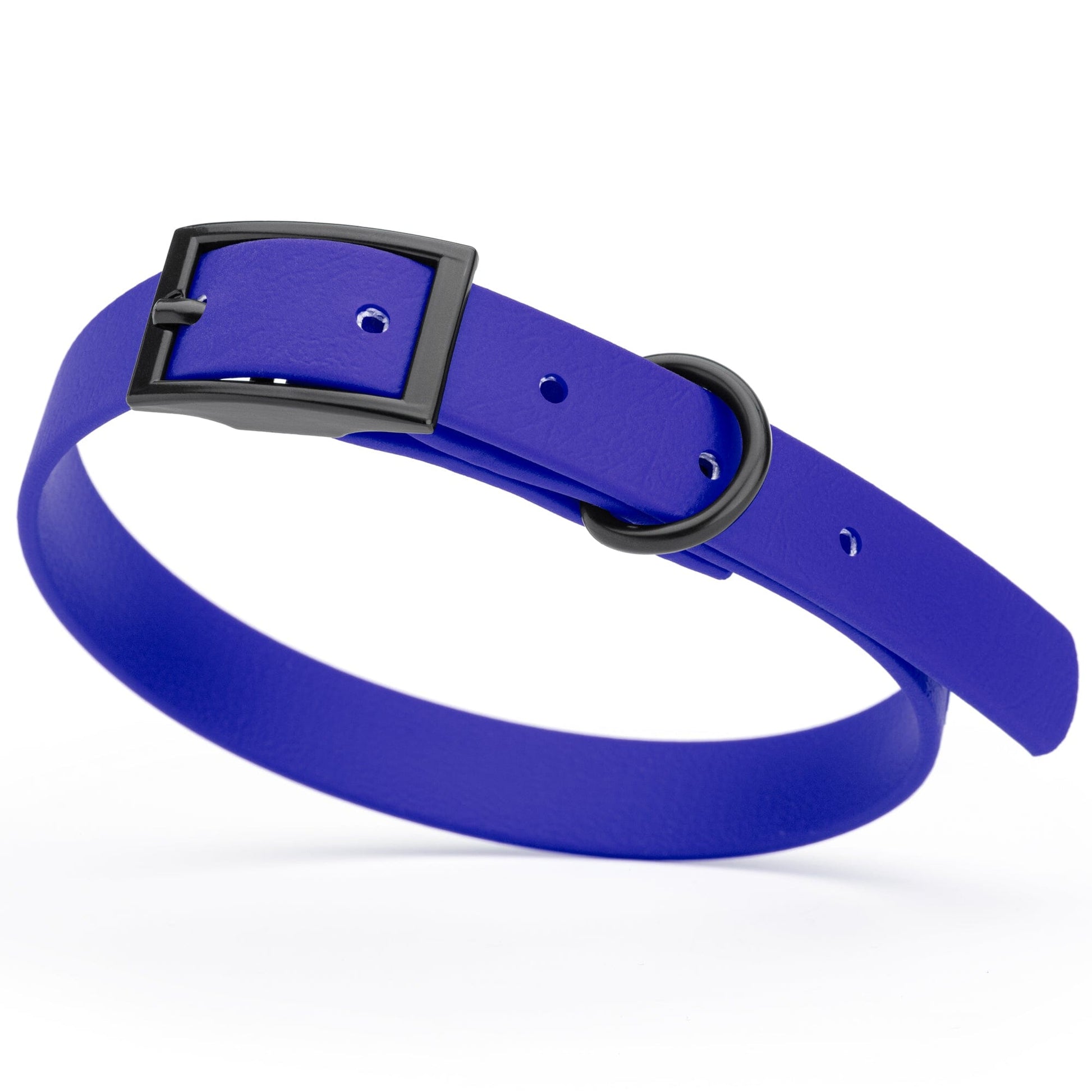 BioThane Waterproof Dog Collar - XS: L 12"-15" x W 5/8" - Black OR Brass Hardware Blueberry Royal L 12"-15" x W 5 8" Black Dog Collars Dogline
