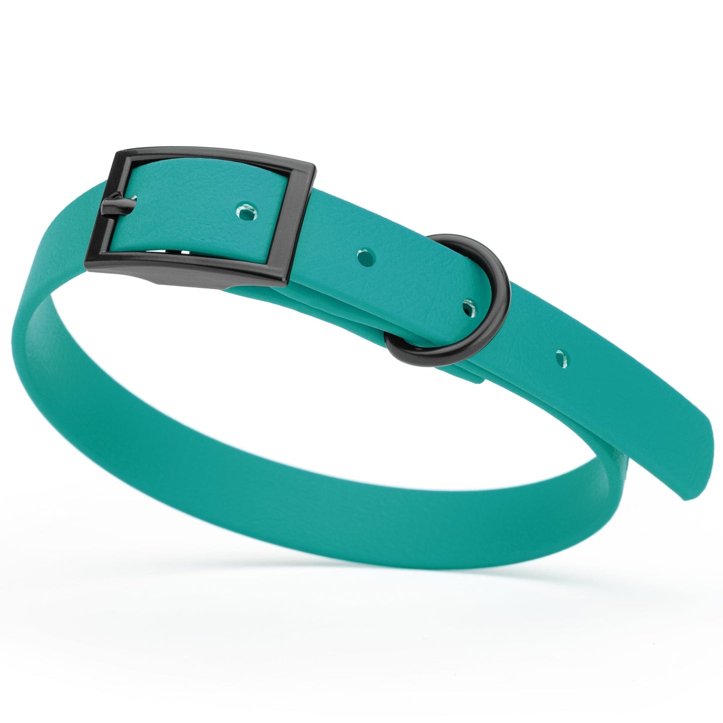 BioThane Waterproof Dog Collar - XS: L 12"-15" x W 5/8" - Black OR Brass Hardware Blue Aqua L 12"-15" x W 5 8" Black Dog Collars Dogline