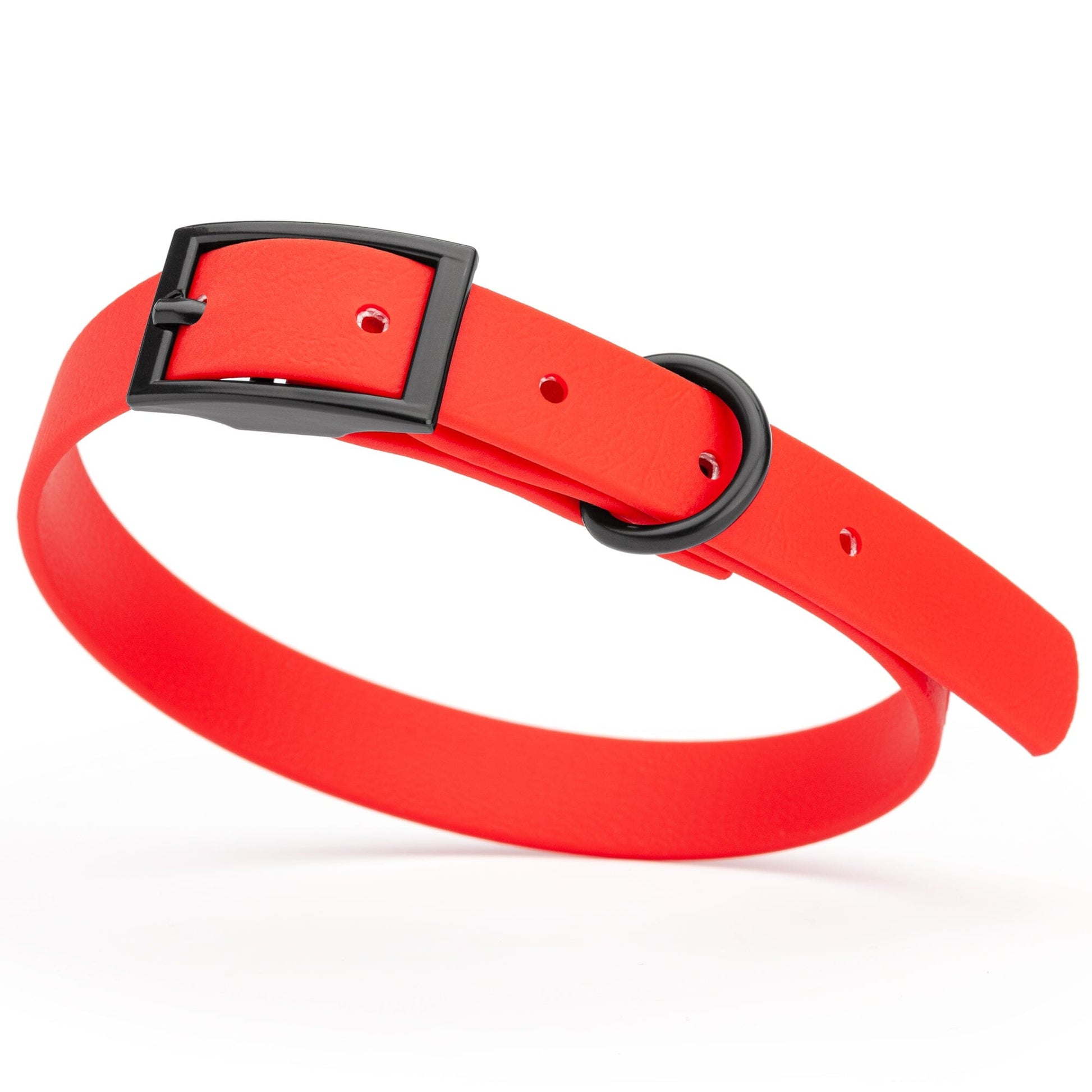 BioThane Waterproof Dog Collar - XS: L 12"-15" x W 5/8" - Black OR Brass Hardware Cherry Red L 12"-15" x W 5 8" Black Dog Collars Dogline