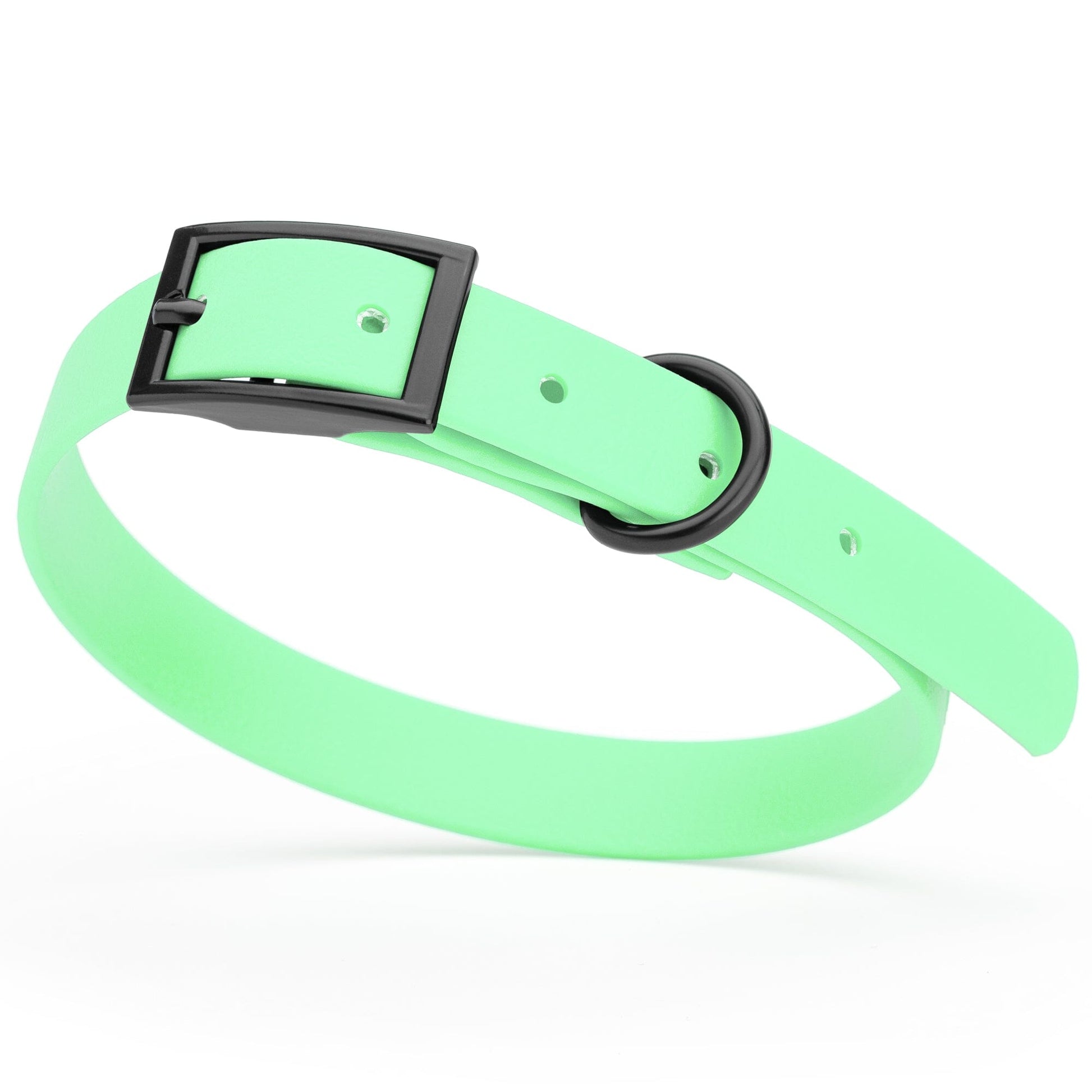 BioThane Waterproof Dog Collar - XS: L 12"-15" x W 5/8" - Black OR Brass Hardware Sea Foam Green L 12"-15" x W 5 8" Black Dog Collars Dogline