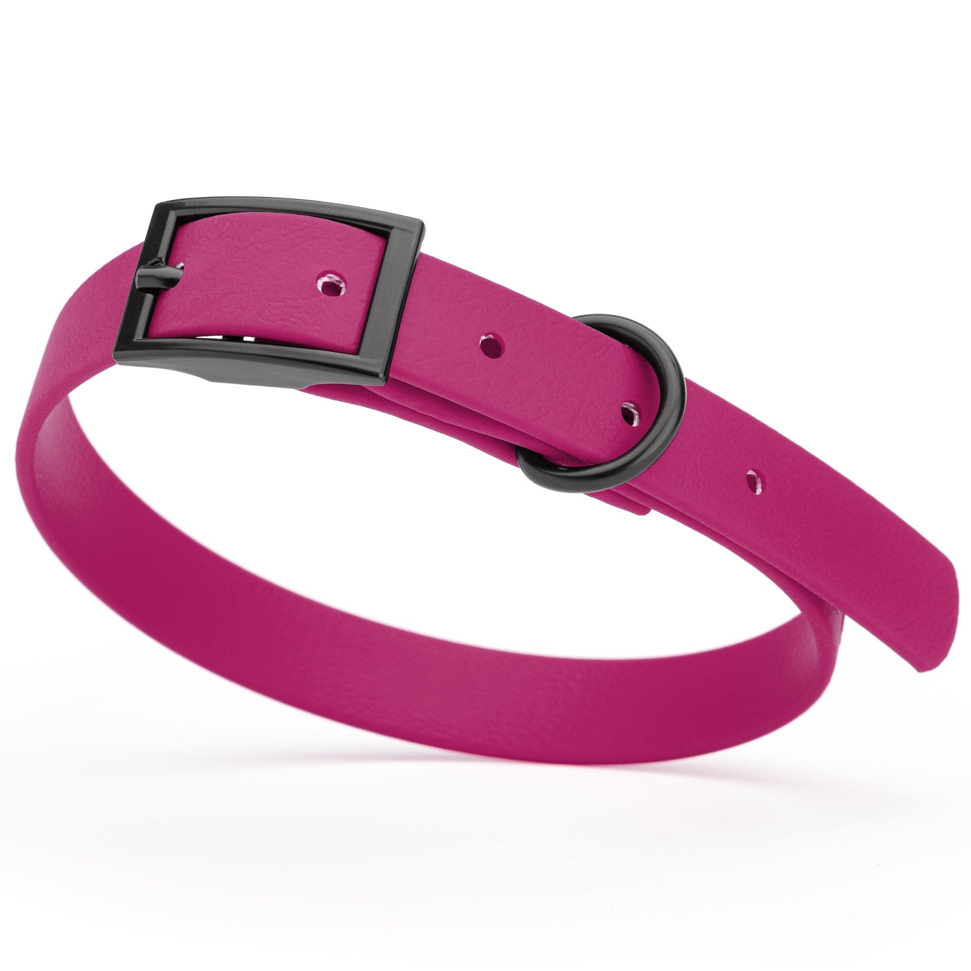 BioThane Waterproof Dog Collar - XS: L 9"-12" x W 1/2" - Black OR Brass Hardware Dog Collars Dogline
