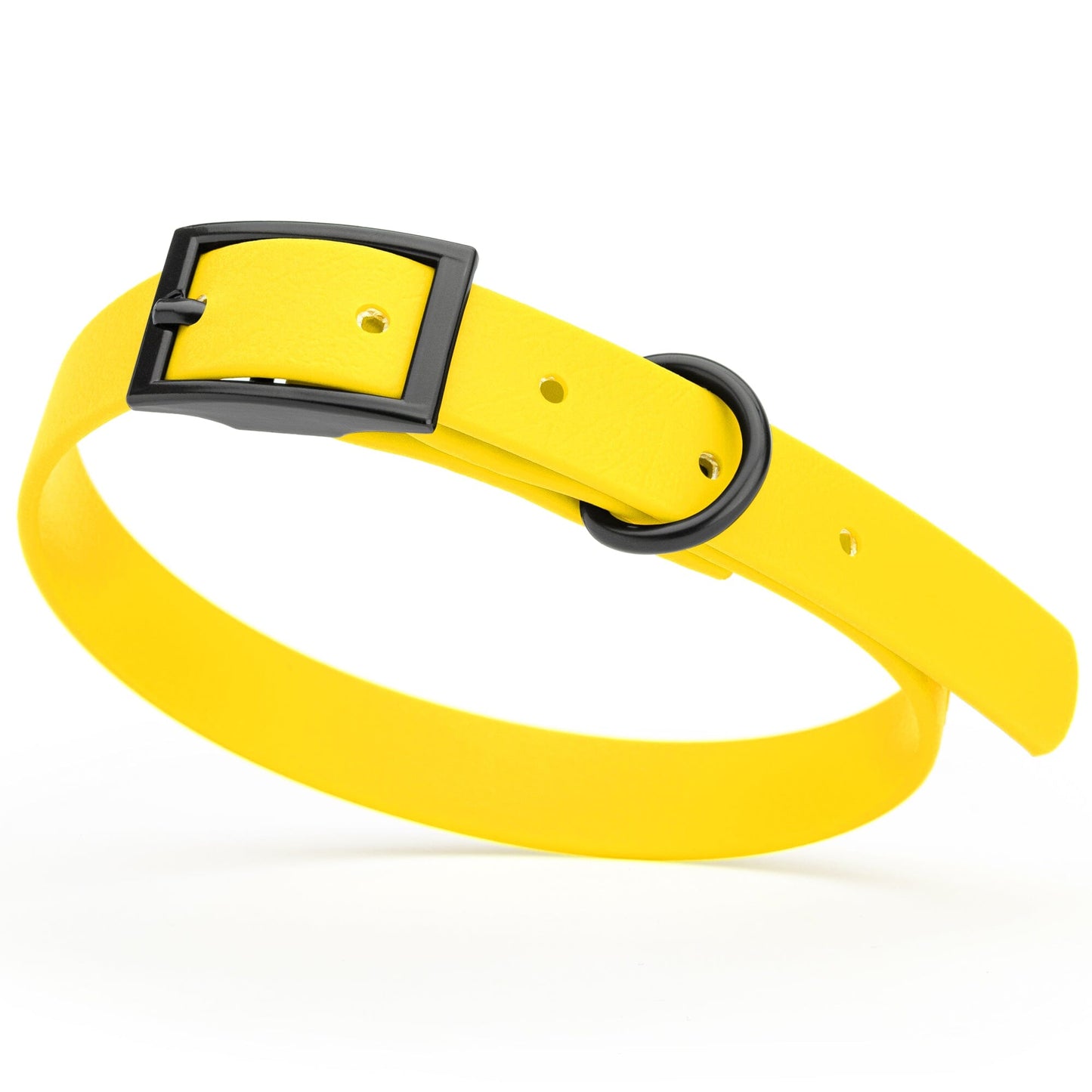 BioThane Waterproof Dog Collar - XS: L 9"-12" x W 1/2" - Black OR Brass Hardware Dog Collars Dogline