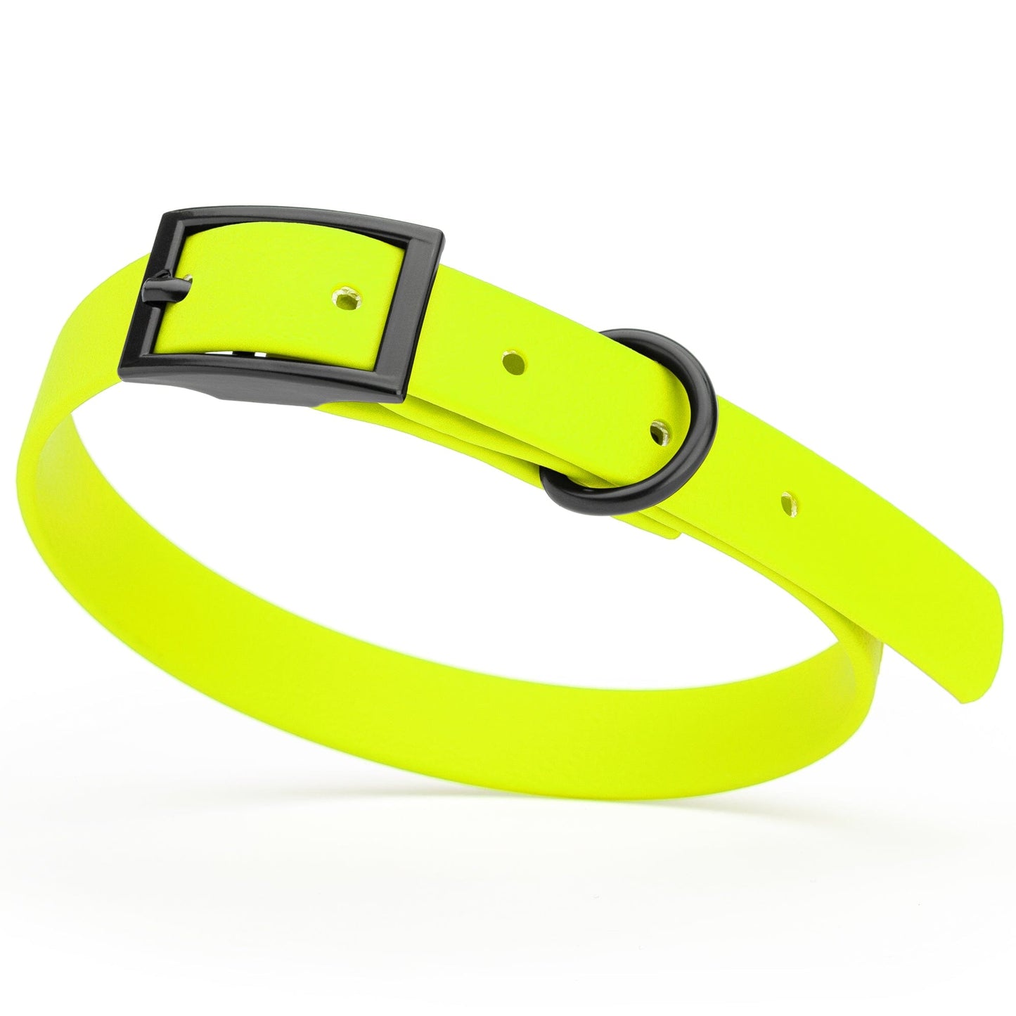 BioThane Waterproof Dog Collar - XS: L 9"-12" x W 1/2" - Black OR Brass Hardware Dog Collars Dogline