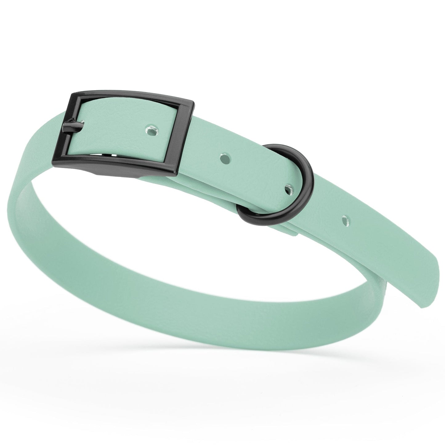 Dogline Biothane Waterproof Dog Collar with Black Hardware - Size S (12 to 15 inches) Sage Green Dog Collars Dogline