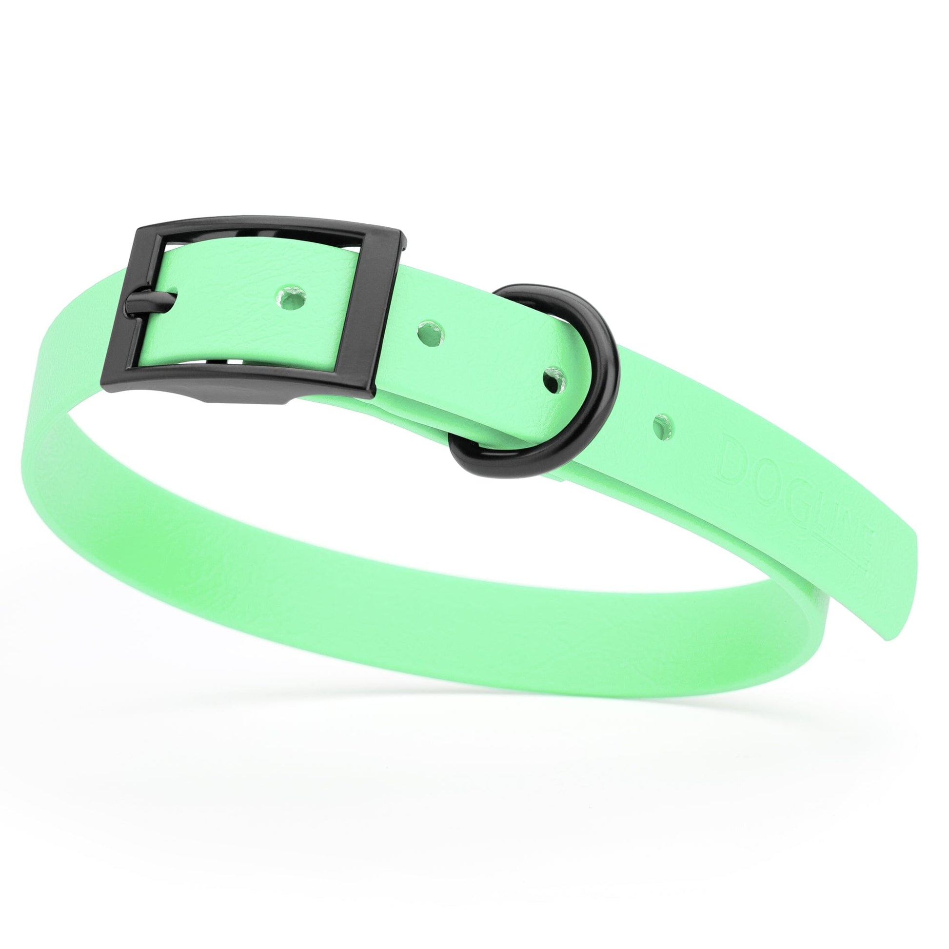 BioThane Waterproof Dog Collar - XS: L 12"-15" x W 5/8" - Black OR Brass Hardware Dog Collars Dogline