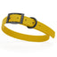 BioThane Waterproof Dog Collar - XS: L 9"-12" x W 1/2" - Black OR Brass Hardware Dog Collars Dogline