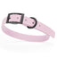 BioThane Waterproof Dog Collar - XS: L 9"-12" x W 1/2" - Black OR Brass Hardware Dog Collars Dogline