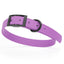 BioThane Waterproof Dog Collar - XS: L 12"-15" x W 5/8" - Black OR Brass Hardware Dog Collars Dogline