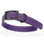 BioThane Waterproof Dog Collar - XS: L 9"-12" x W 1/2" - Black OR Brass Hardware Dog Collars Dogline