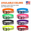 Biothane Translucent Reflective Dog Collar Dog Collars Dogline