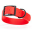 BioThane Waterproof Dog Collar - XS: L 12"-15" x W 5/8" - Black OR Brass Hardware Dog Collars Dogline