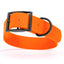 BioThane Waterproof Dog Collar - XS: L 9"-12" x W 1/2" - Black OR Brass Hardware Dog Collars Dogline
