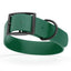 BioThane Waterproof Dog Collar - XS: L 12"-15" x W 5/8" - Black OR Brass Hardware Dog Collars Dogline