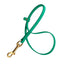 Biothane Dog Grooming Loop Teal 3 8" Dog Leashes Dogline