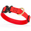 Viper BioThane Dog Collar with Cobra Metal Buckle – Odor Resistant and Waterproof Cherry Red Dog Collars Dogline