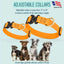 Viper BioThane Dog Collar with Cobra Metal Buckle – Odor Resistant and Waterproof Dog Collars Dogline