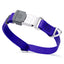Dogline Pebble Emboss Biothane Dog Collar with Herm Sprenger Stainless Steel ClicLock Buckle 3 4"W by 12-19"L Blueberry Royal Silver Buckle Dog Collars Dogline