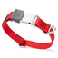 Dogline Pebble Emboss Biothane Dog Collar with Herm Sprenger Stainless Steel ClicLock Buckle 3 4"W by 12-19"L Cherry Red Silver Buckle Dog Collars Dogline