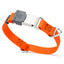Dogline Pebble Emboss Biothane Dog Collar with Herm Sprenger Stainless Steel ClicLock Buckle 3 4"W by 12-19"L Hunter Orange Silver Buckle Dog Collars Dogline