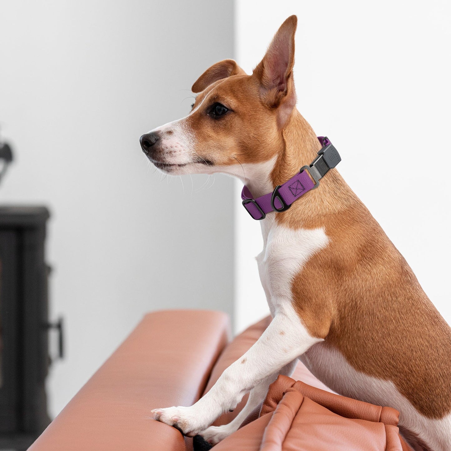 Dogline Pebble Emboss Biothane Dog Collar with Herm Sprenger Stainless Steel ClicLock Buckle Dog Collars Dogline