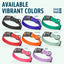 Pebble Emboss Biothane Dog Collar with Quick Release Buckle Dog Collars Dogline