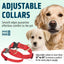 Dogline Pebble Emboss BioThane Dog Collar with Heavy Duty Cobra Buckle Dog Collars Dogline