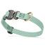 Dogline Pebble Emboss BioThane Dog Collar with Heavy Duty Cobra Buckle W 3 4" x L 12-19" Sage Green Dog Collars Dogline