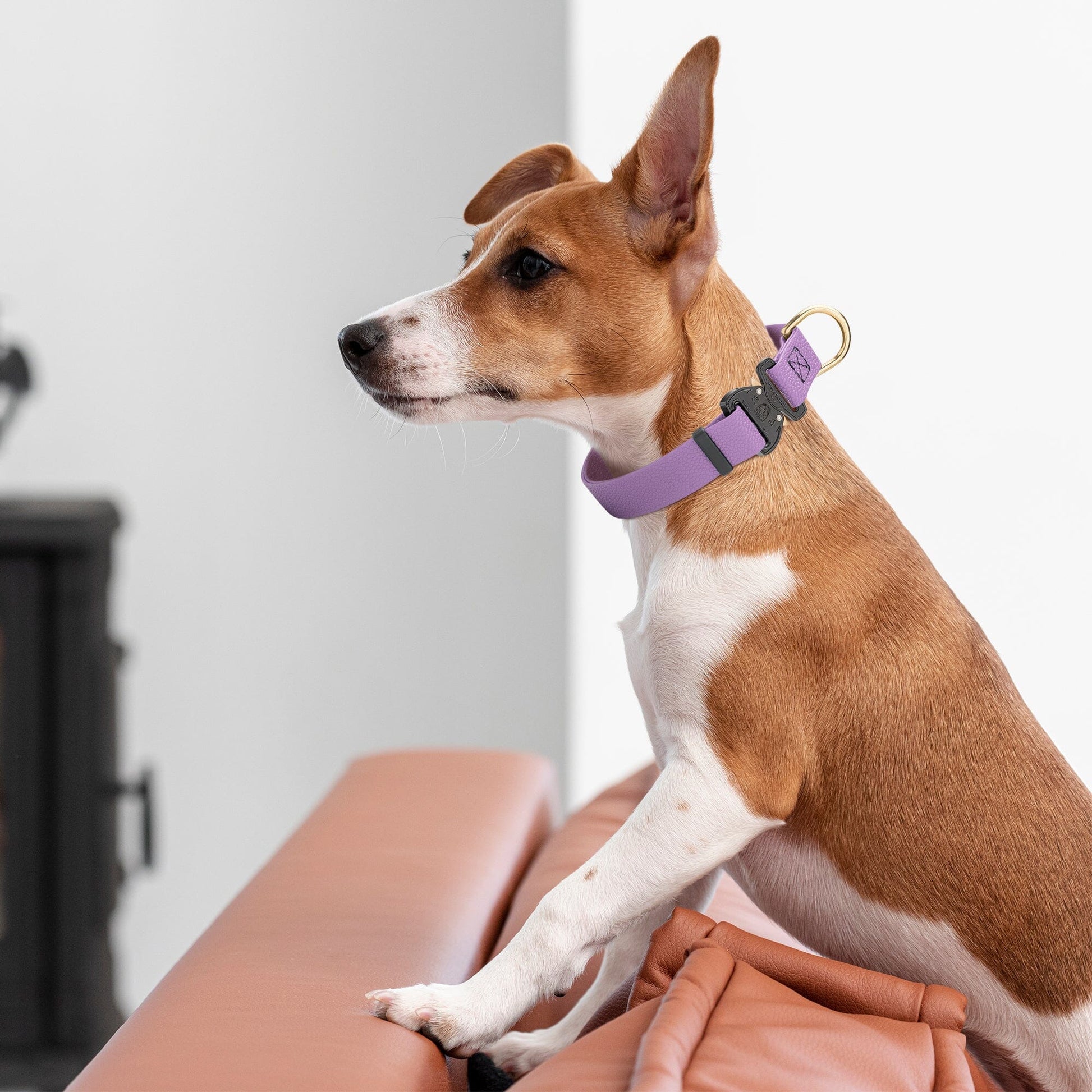 Dogline Pebble Emboss BioThane Dog Collar with Heavy Duty Cobra Buckle Dog Collars Dogline