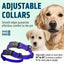 Dogline Pebble Emboss Biothane Dog Collar with Magnetic Buckle Dog Collars Dogline