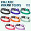 Dogline Pebble Emboss Biothane Dog Collar with Magnetic Buckle Dog Collars Dogline