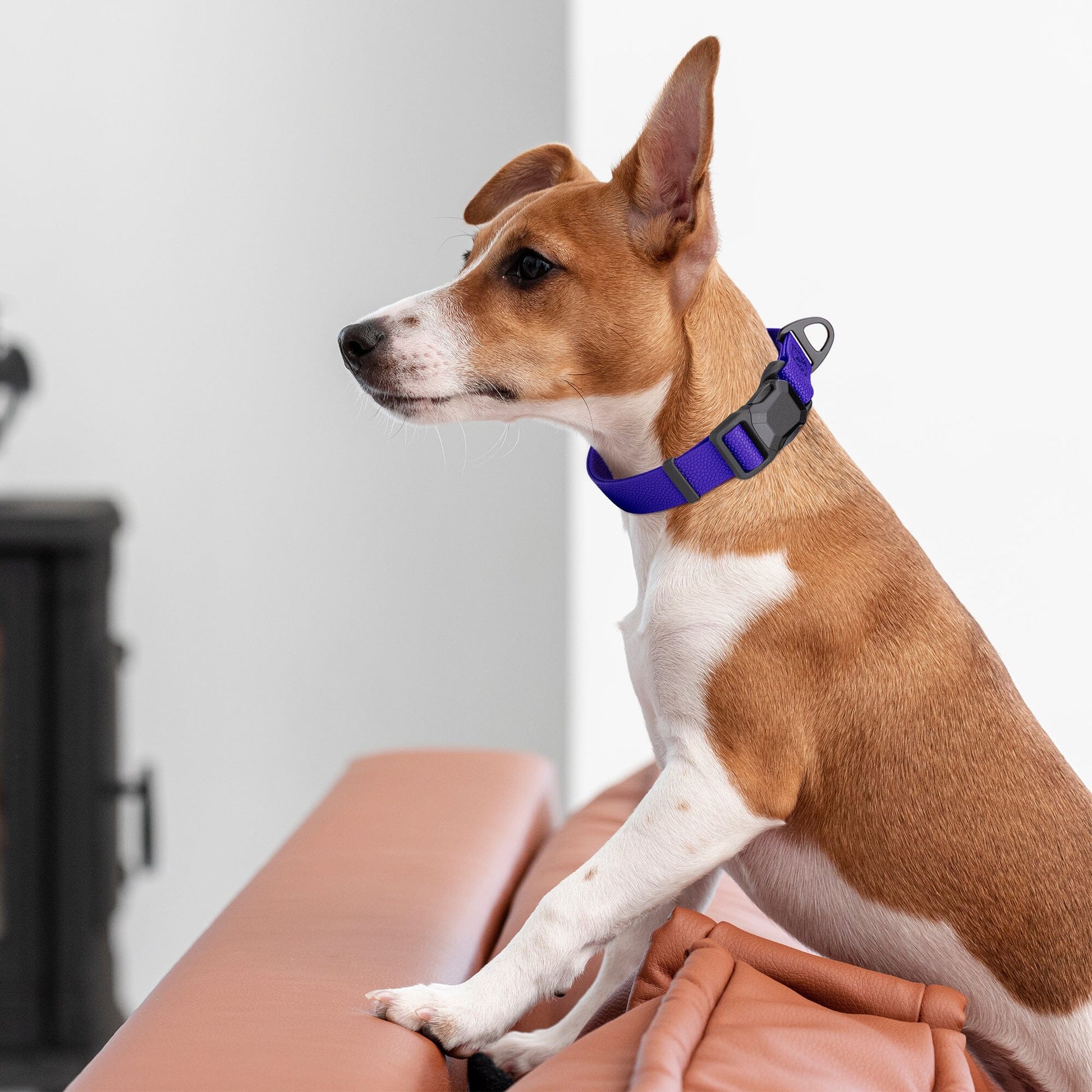 Dogline Pebble Emboss Biothane Dog Collar with Magnetic Buckle Dog Collars Dogline