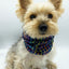 'Brett' Reversible Pet Snood Snood BESPOKE PAWS