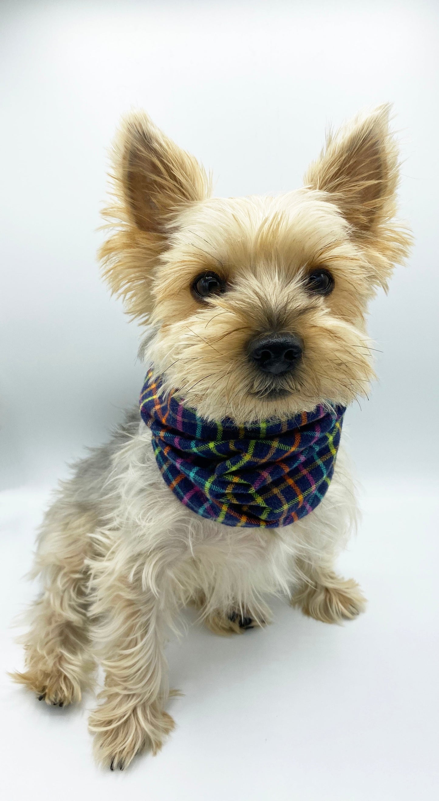 'Brett' Reversible Pet Snood Snood BESPOKE PAWS
