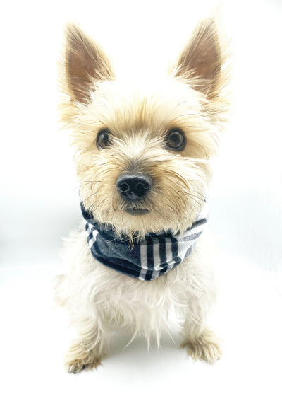 'Bobby' Reversible Pet Snood Snood BESPOKE PAWS