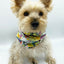 'Brett' Reversible Pet Snood Snood BESPOKE PAWS