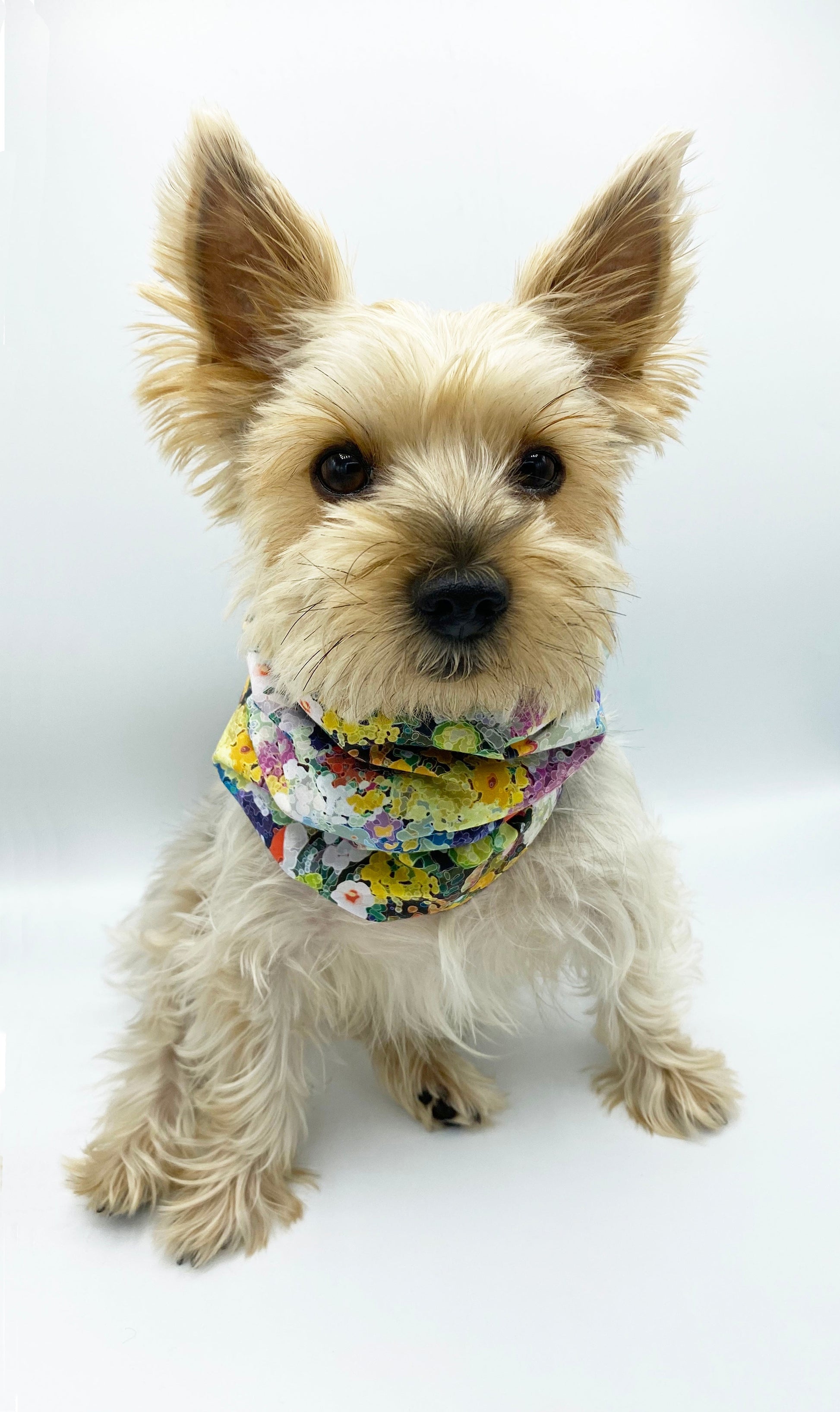 'Brett' Reversible Pet Snood Snood BESPOKE PAWS