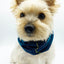 'Blair' Reversible Pet Snood Snood BESPOKE PAWS