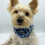 'Blair' Reversible Pet Snood Snood BESPOKE PAWS