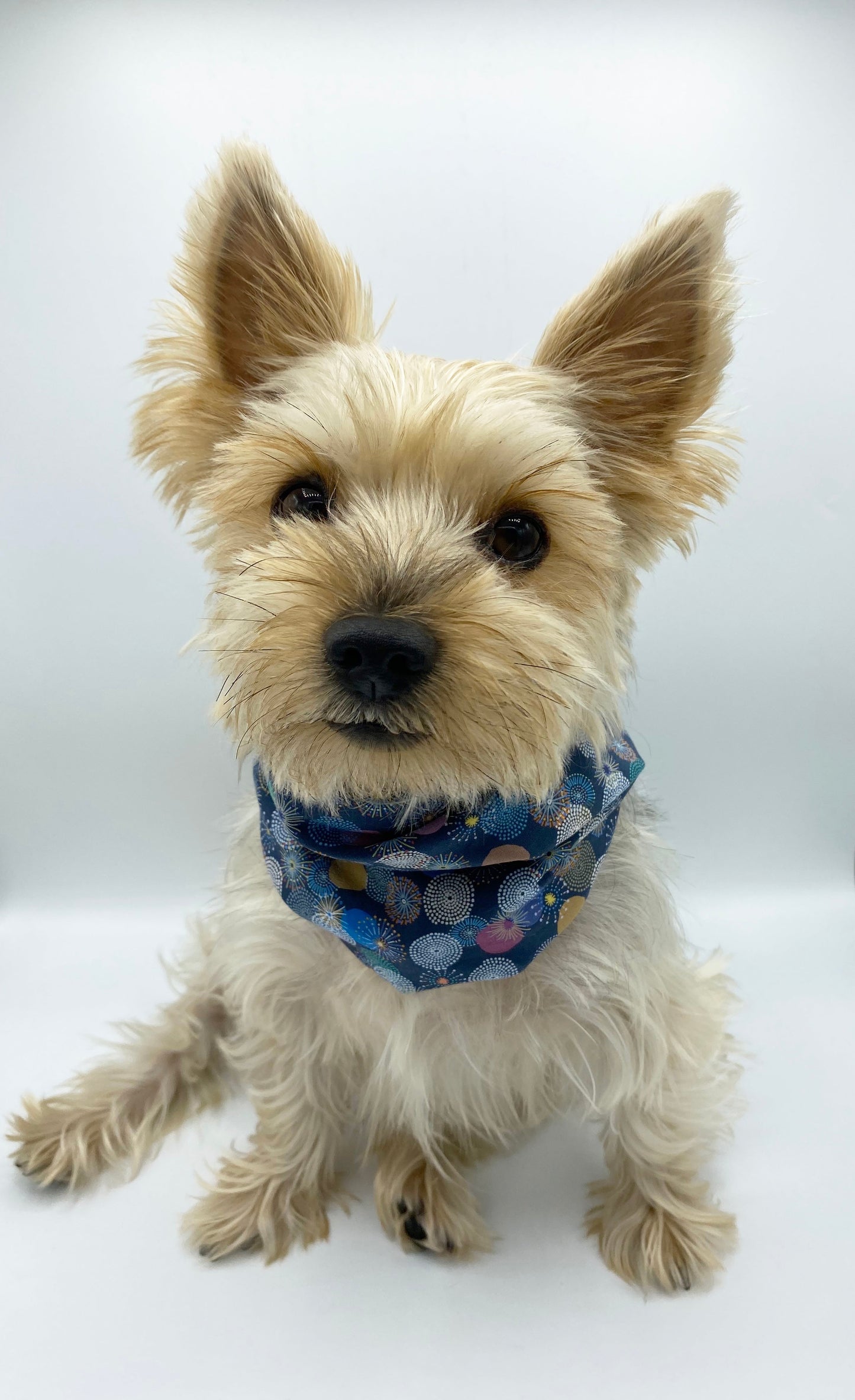 'Blair' Reversible Pet Snood Snood BESPOKE PAWS