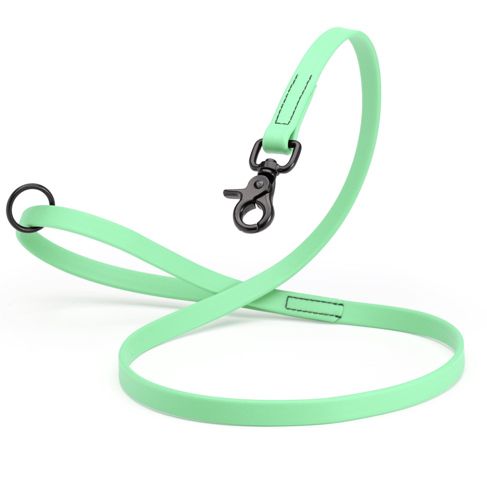 Biothane Dog Leash with Black Scissor Snap Sea Foam Green 5 8" Dog Leashes Dogline