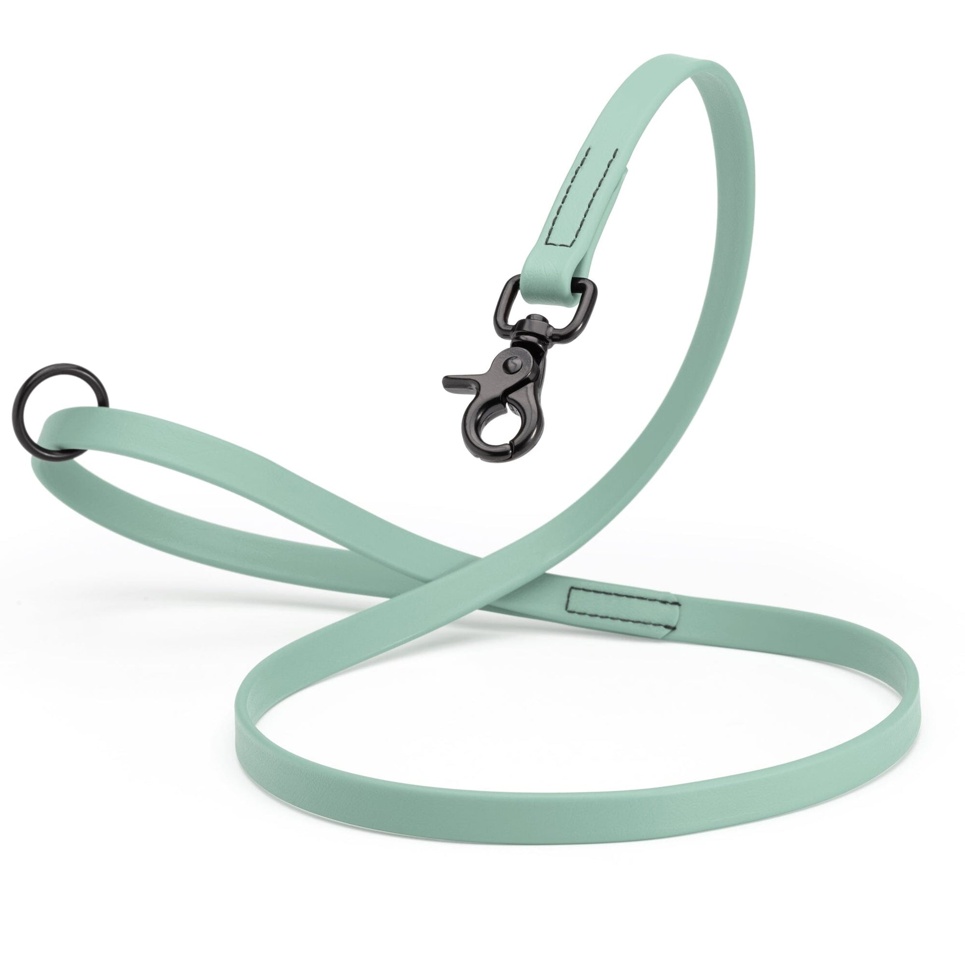 Biothane Dog Leash with Black Scissor Snap Sage Green 5 8" Dog Leashes Dogline
