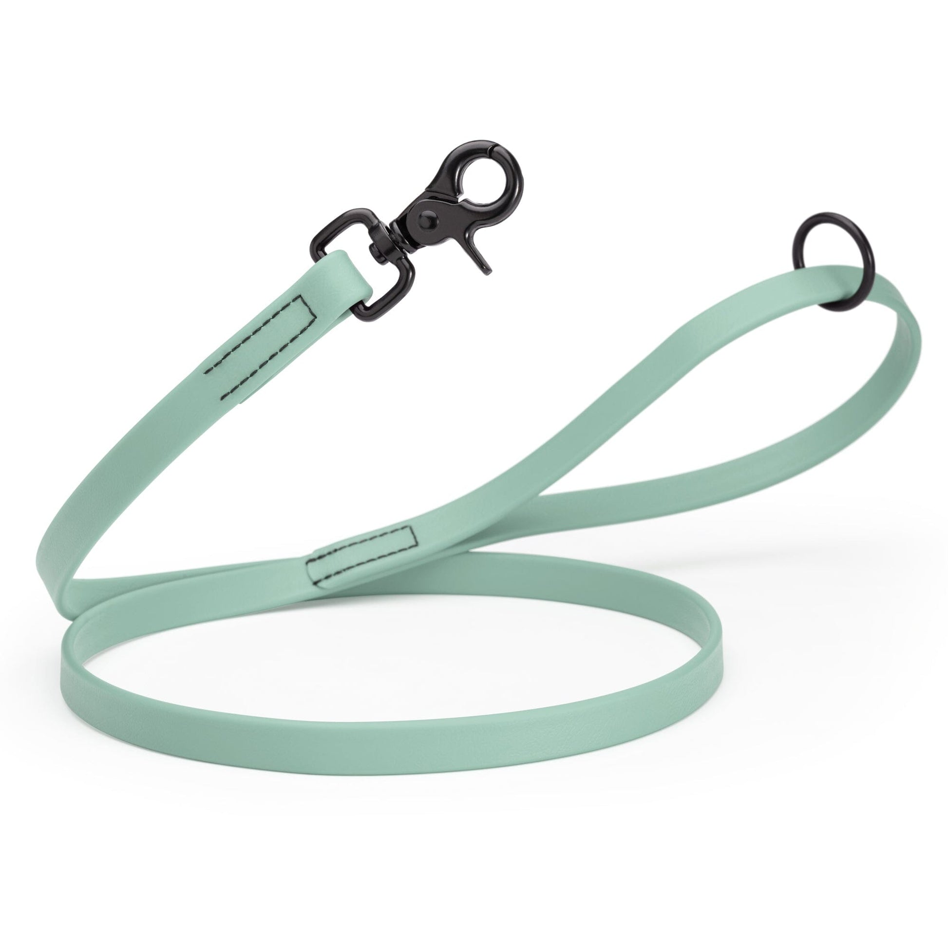 Biothane Dog Leash with Black Scissor Snap Sage Green 3 4" Dog Leashes Dogline