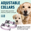 Dogline BioThane Dog Collar with Stab-Lock Quick Release Buckle Dog Collars Dogline