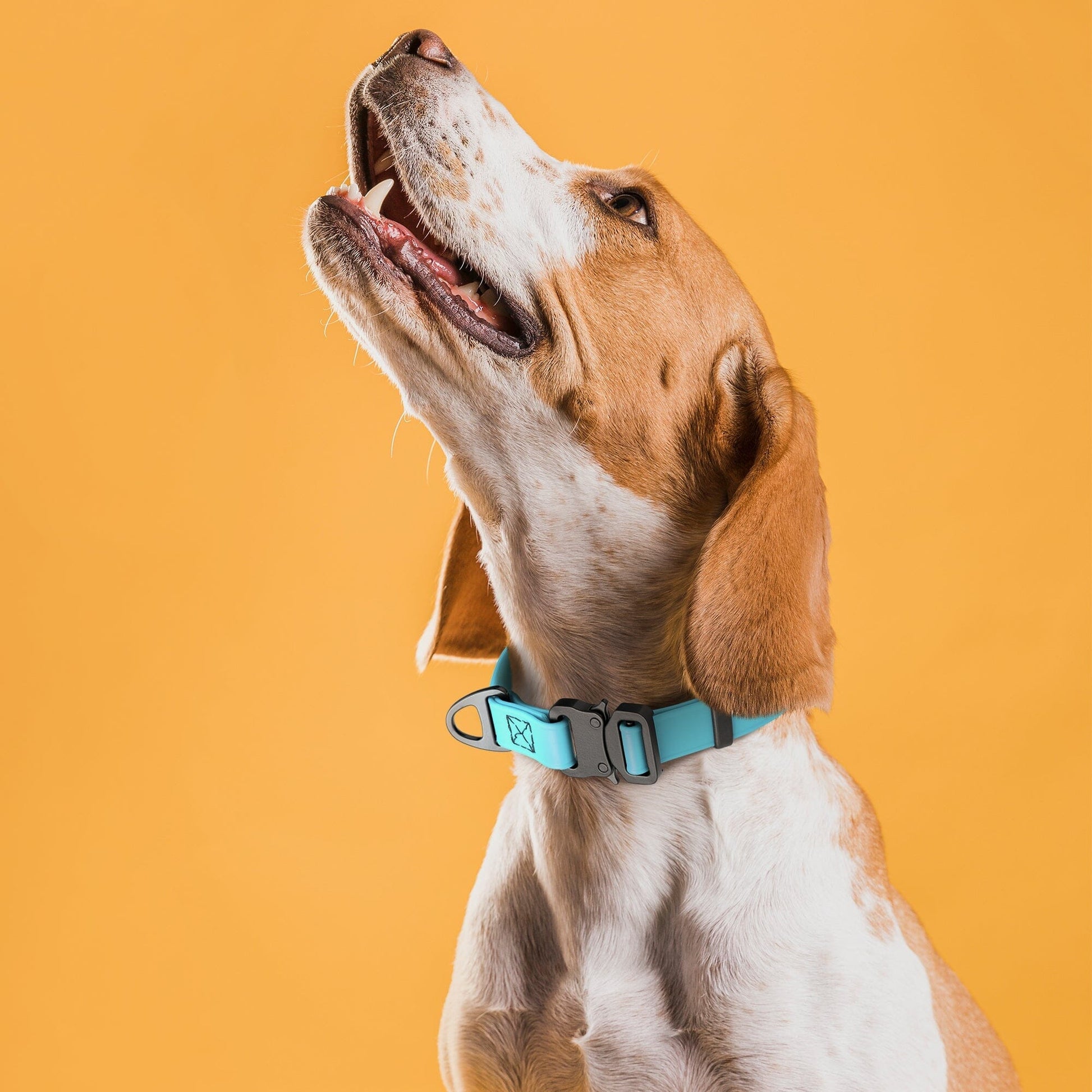 Dogline BioThane Dog Collar with Stab-Lock Quick Release Buckle Dog Collars Dogline